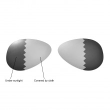 Walleva Polarized Transition/Photochromic Replacement Lenses For Ray-Ban Aviator Large Metal RB3025 62mm